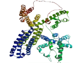 MAP7 Domain Containing Protein 2 (MAP7D2)