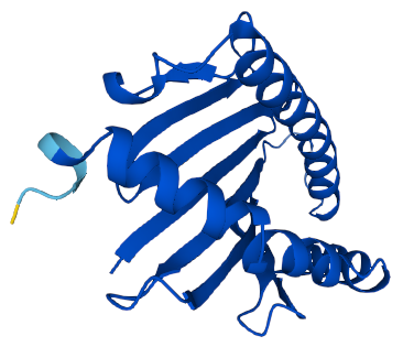 MHC class I antigen (HLA-B27)