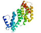 MIF4G Domain Containing Protein (MIF4GD)