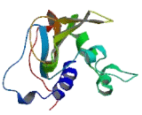 MORC Family CW-Type Zinc Finger Protein 1 (MORC1)