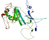 MUS81 Endonuclease Homolog (MUS81)