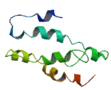 Major Facilitator Superfamily Domain Containing Protein 3 (MFSD3)