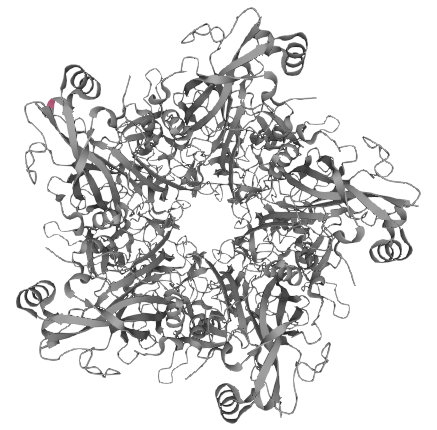 Major capsid protein L1, HPV18 (HPV18 L1)