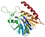 Metallo Beta Lactamase Domain Containing Protein 2 (MbLAC2)