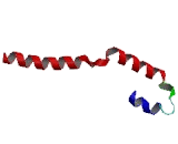 Methyltransferase Like Protein 2B (METTL2B)