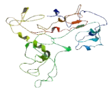 Minichromosome Maintenance Deficient 3 Associated Protein (MCM3AP)