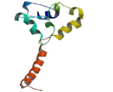 Mitochondrial Coiled Coil Domain Protein 1 (MCCD1)