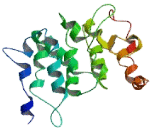Mitochondrial Ribosomal Protein L45 (MRPL45)