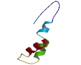 Mitochondrial Ribosomal Protein S21 (MRPS21)