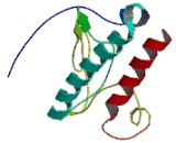 Mitogen Activated Protein Kinase Kinase Kinase 14 (MAP3K14)
