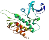 Mitogen Activated Protein Kinase Kinase Kinase 4 (MAP3K4)