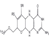 Molybdopterin (MPT)