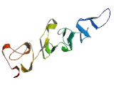 Multiple EGF Like Domains Protein 9 (MEGF9)