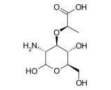 Muramic Acid (MA)