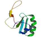 Ribosomal Protein S6 Modification Like Protein B (RIMKLB)