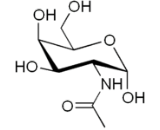 N-Acetylgalactosamine (GalNAc)