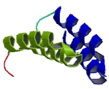 N-Alpha-Acetyltransferase 16 (NaA16)