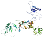 N-Alpha-Acetyltransferase 35 (NaA35)