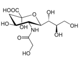 N-Glycolylneuraminic Acid (NGNA)
