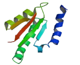 NEDD4 Binding Protein 2 (N4BP2)