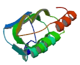 NLR Family, CARD Domain Containing Protein 3 (NLRC3)