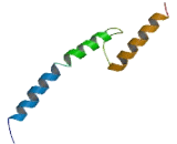 Nescient Helix Loop Helix Protein 2 (NHLH2)