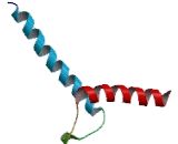 Neurogenin 2 (NEUROG2)