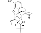 Norbuprenorphine (NBP)