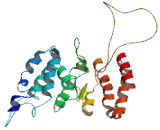 Novel LZAP Binding Protein (NLBP)