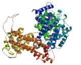 Nuclear Cap Binding Protein Subunit 1 (NCBP1)