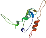 Nuclear Receptor 2C2 Associated Protein (NR2C2AP)