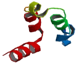 Nucleolar Preribosomal Associated Protein 1 (NPA1)