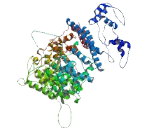 Nucleoporin 205kDa (NUP205)