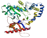 O-Phosphoserine tRNA Selenocysteine tRNA Synthase (SEPSECS)