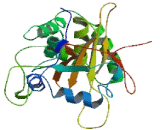 OTU Domain Containing Protein 7A (OTUD7A)