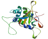 OTU Domain Containing Protein 7B (OTUD7B)