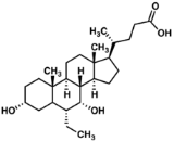 Obeticholic Acid (OCA)