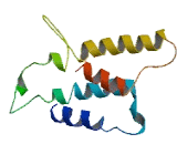 Olfactory Receptor 10A5 (OR10A5)