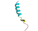 Olfactory Receptor 10P1 (OR10P1)