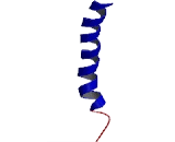 Olfactory Receptor 10W1 (OR10W1)