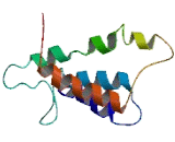 Olfactory Receptor 2A12 (OR2A12)