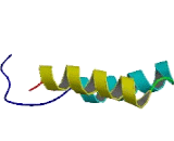 Olfactory Receptor 4A16 (OR4A16)