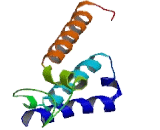 Olfactory Receptor 4A5 (OR4A5)