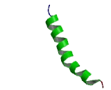 Olfactory Receptor 4F5 (OR4F5)