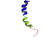 Olfactory Receptor 5T1 (OR5T1)