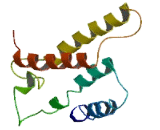 Olfactory Receptor 8A1 (OR8A1)