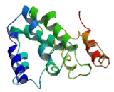 Opa Interacting Protein 5 (OIP5)