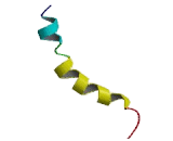 Opioid Receptor Kappa 1 (OPRk1)