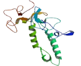Osteopetrosis Associated Transmembrane Protein 1 (OSTM1)