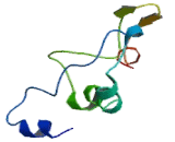 Oxoglutarate Carrier Protein, Mitochondrial (OGC)